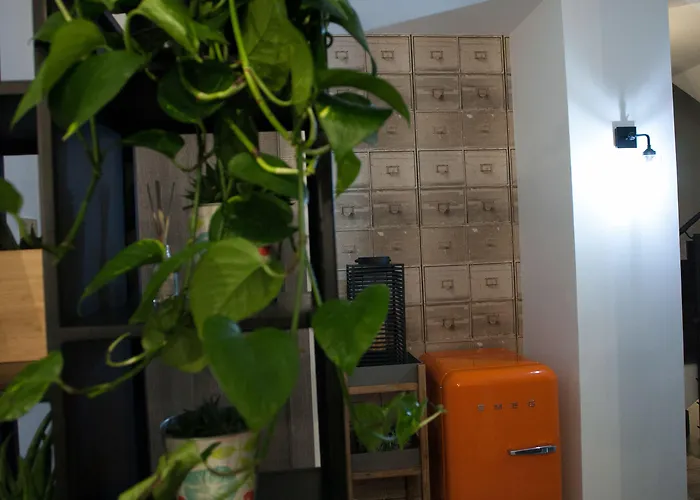 Cristiano 招待所 科森扎