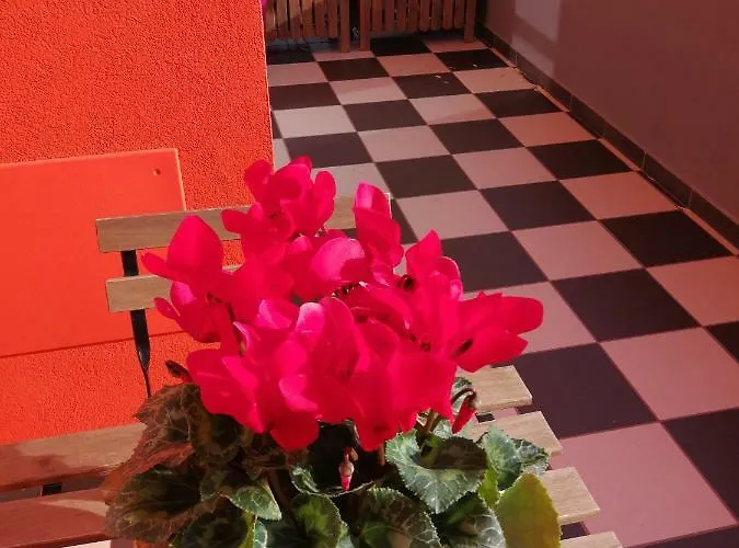 Casa de hóspedes Cristiano